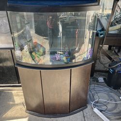 40 GALLON FISH TANK FOR SALE!!!