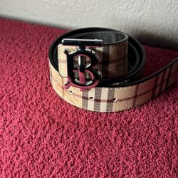 Silver Buckle Reversible Leather Accessorie  