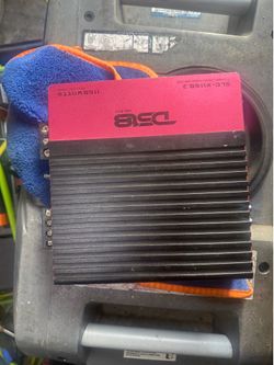 DS18 bass amp