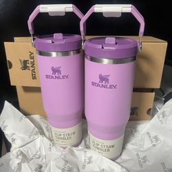 Stanley Flip Straw 30oz 