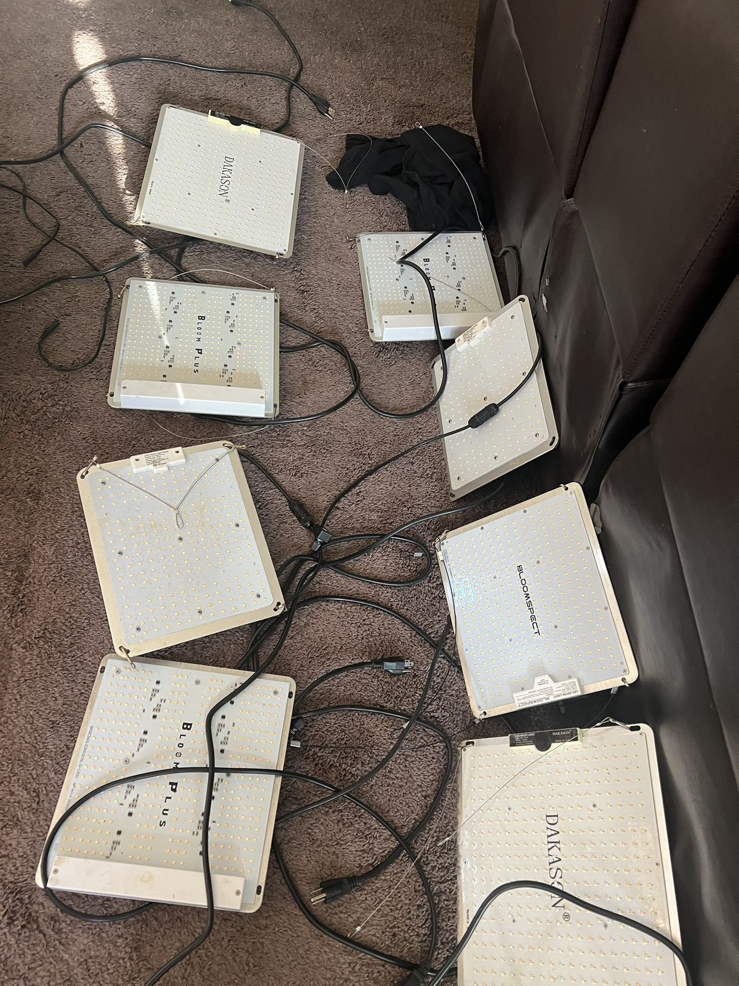 Grow Lights - 100w LEDs For $25 Each