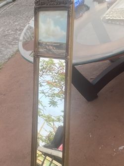 Door Mirror