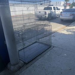 Dog Cage