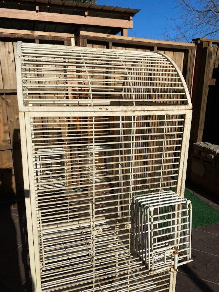 Bird Cage