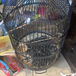 Birds And Bird Cage 