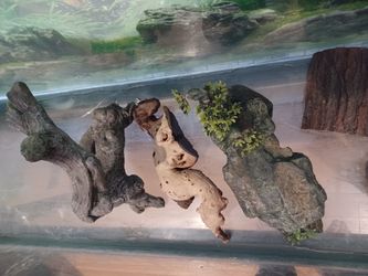 Accessories For Terrarium