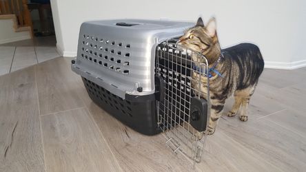 Dog/ cat plastic kennel