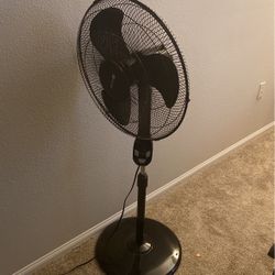 48” Black Oscillating Fan