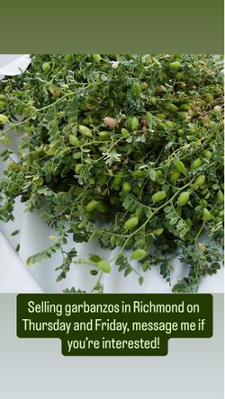 Garbanzos/ chickpeas