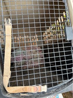 Large dog kennel