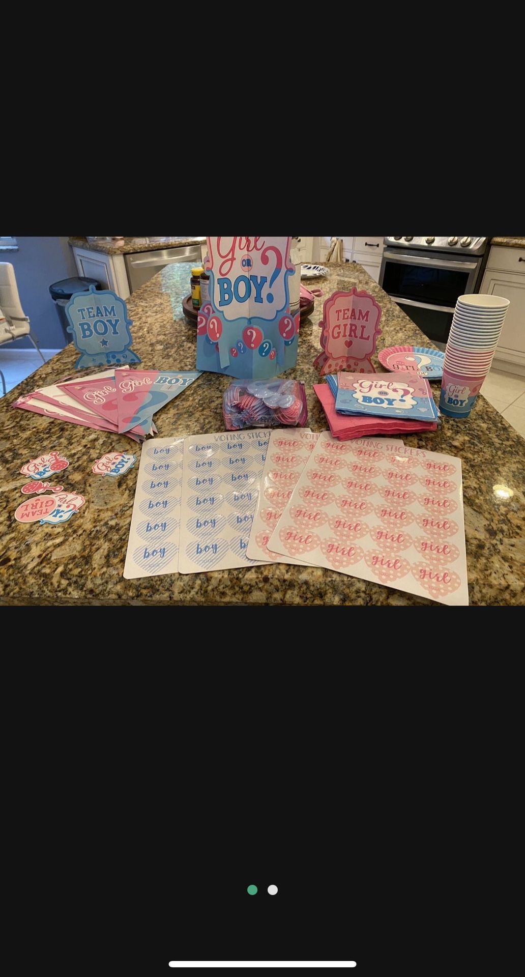 Gender Reveal Party Decor 