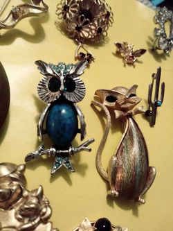 Brooches and Earrings
