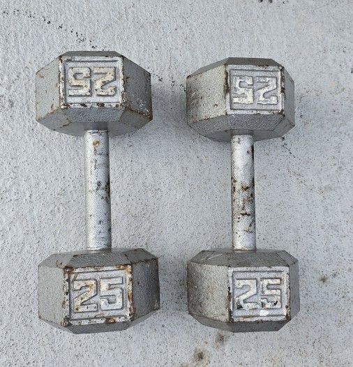 Heavy Duty Dumbbells Good Condition