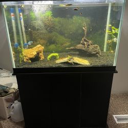 65 Gallon For Sale With Or Without Stand 
