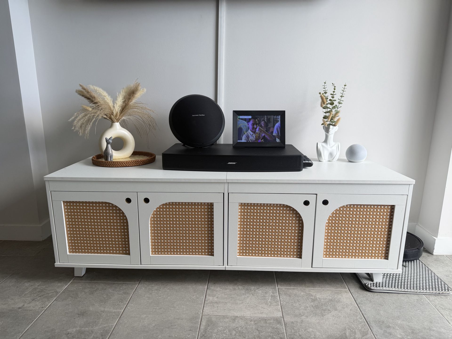 Tv stand and cat litter cabinet