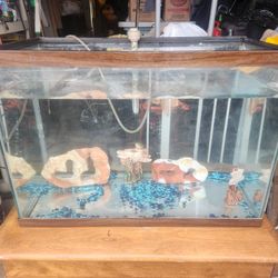 Small Fish Tank