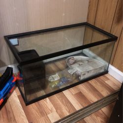 Big fish tank