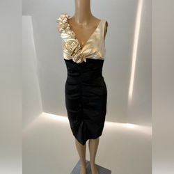 Xscape By Joanna Chen Dress Women's Size 4 USA 