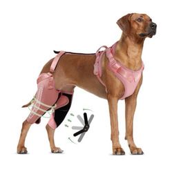 “New”Dog Knee Brace(sz XL)(for Torn ACL,Patella,Ligament,etc.)warms and Relieves Pain(retail$115)