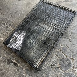 Cage 