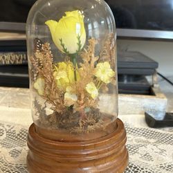 Vintage Glass Domed Music Box, Preserved Butterfly , Silk Flowers 9” Tall 1970s