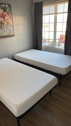 Two Practically Brand new Twin Mattresses