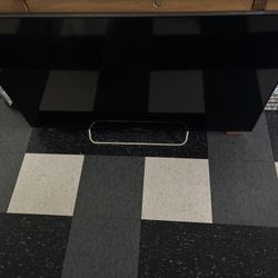 50" Flat Screen TV