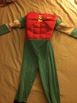 Robin costume