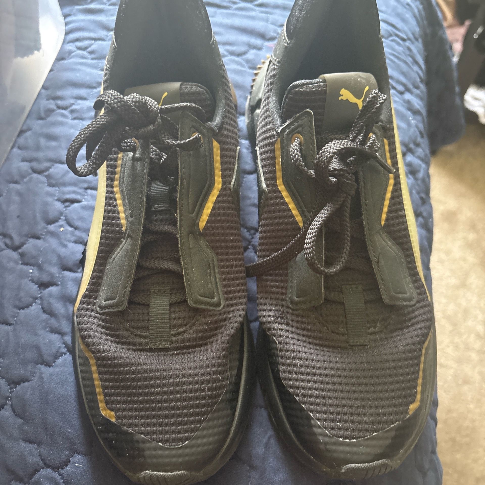 Pumas