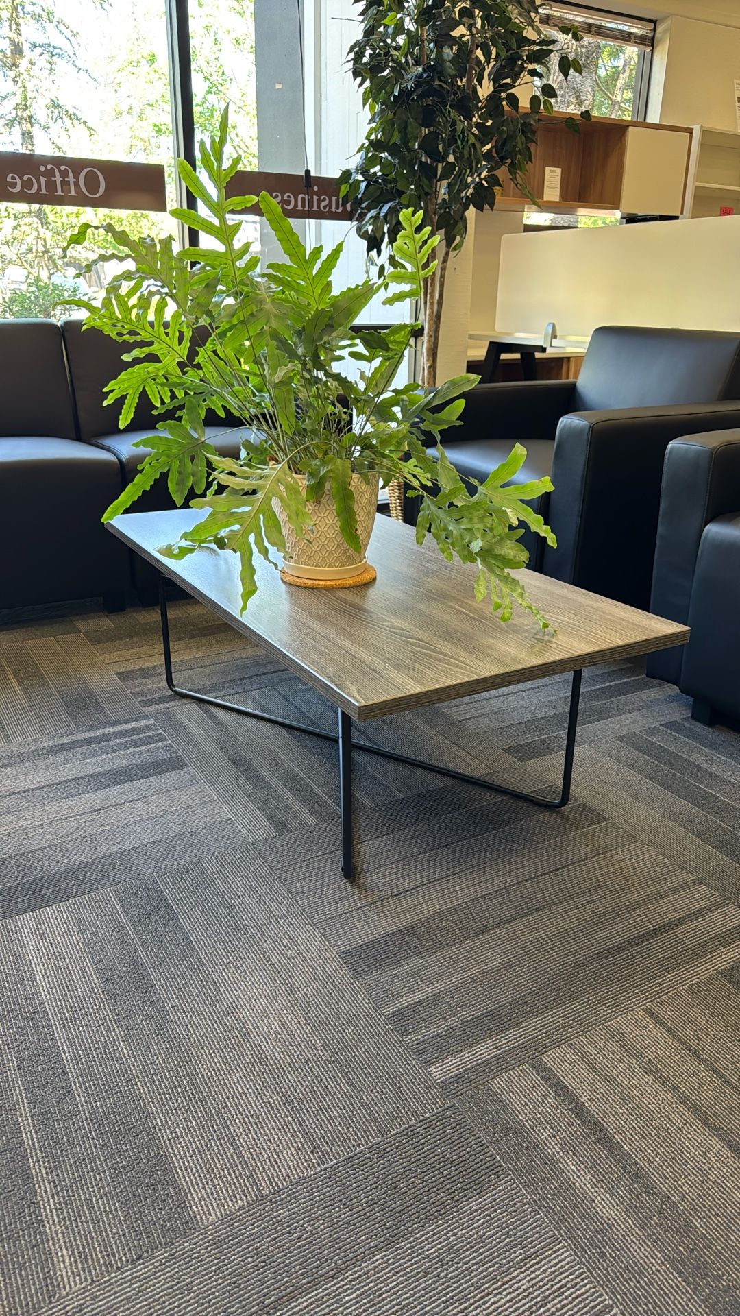 Modern Coffee Table