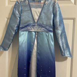 Elsa Costume 