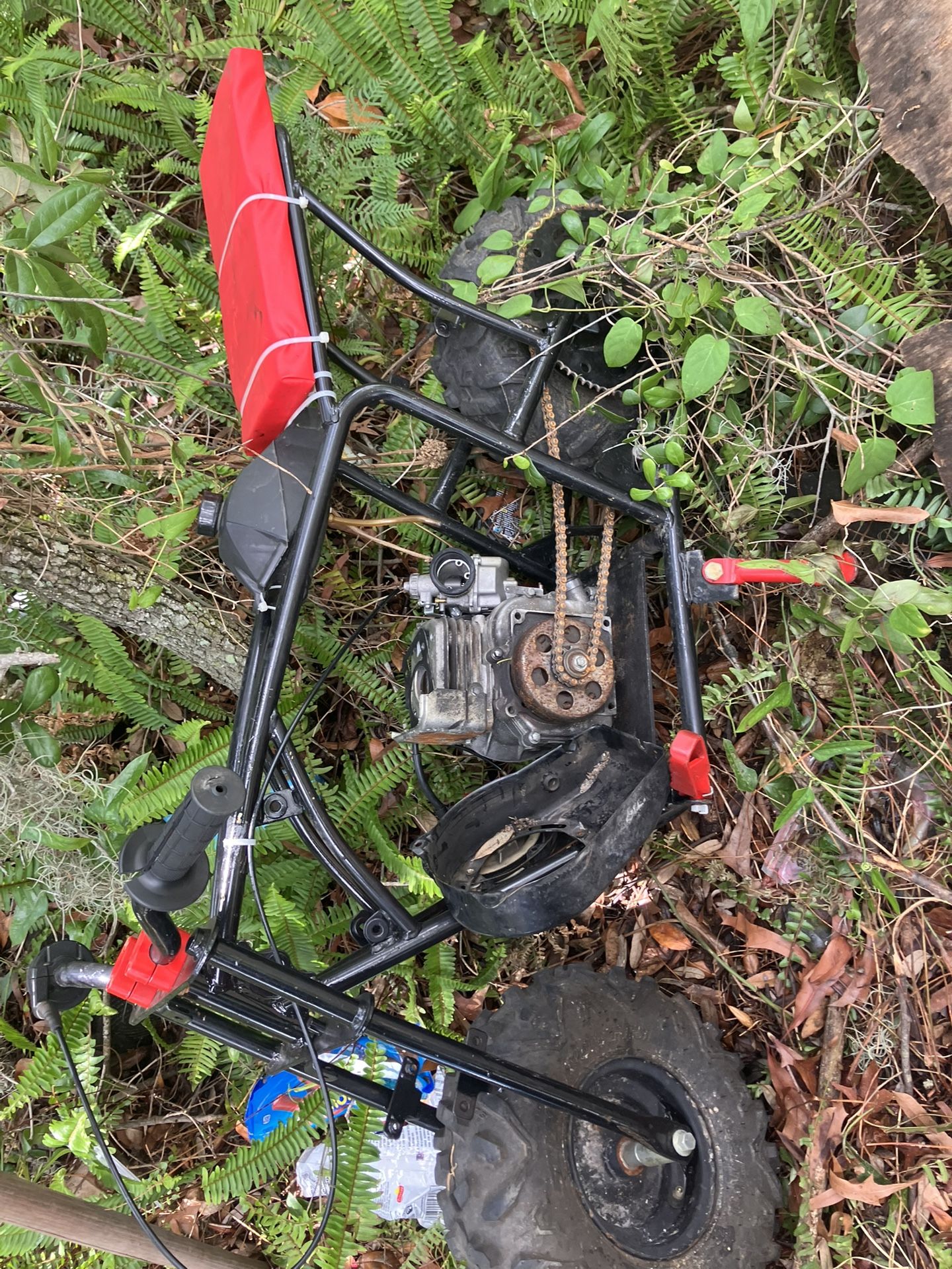 Minibike