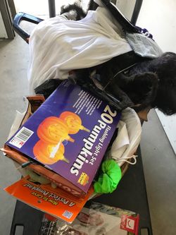 Box of Halloween items masks etc