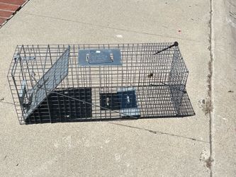 Humane Live Animal Trap