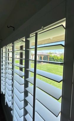 Window ~ Shutters