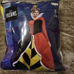 Disney Villains Costume 
