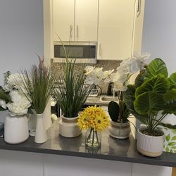 Plants Set - decorating 