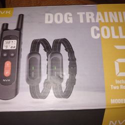 20$ New Dog Training