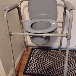 Adult Handicap Toilet
