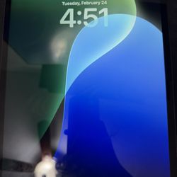 12.9 IPAD PRO 4TH GEN 1 TB WIFI + CELL