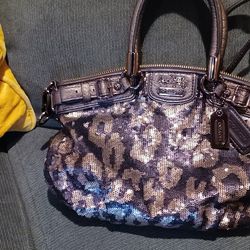 New Coach Purse Worn Once