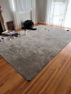 Carpet 9 by 12