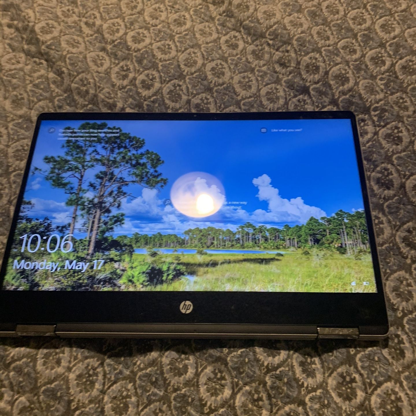 HP Laptop      