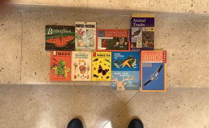 Field Picture  Children’s Books On Birds And Insects And Sea Shells  And Trees 