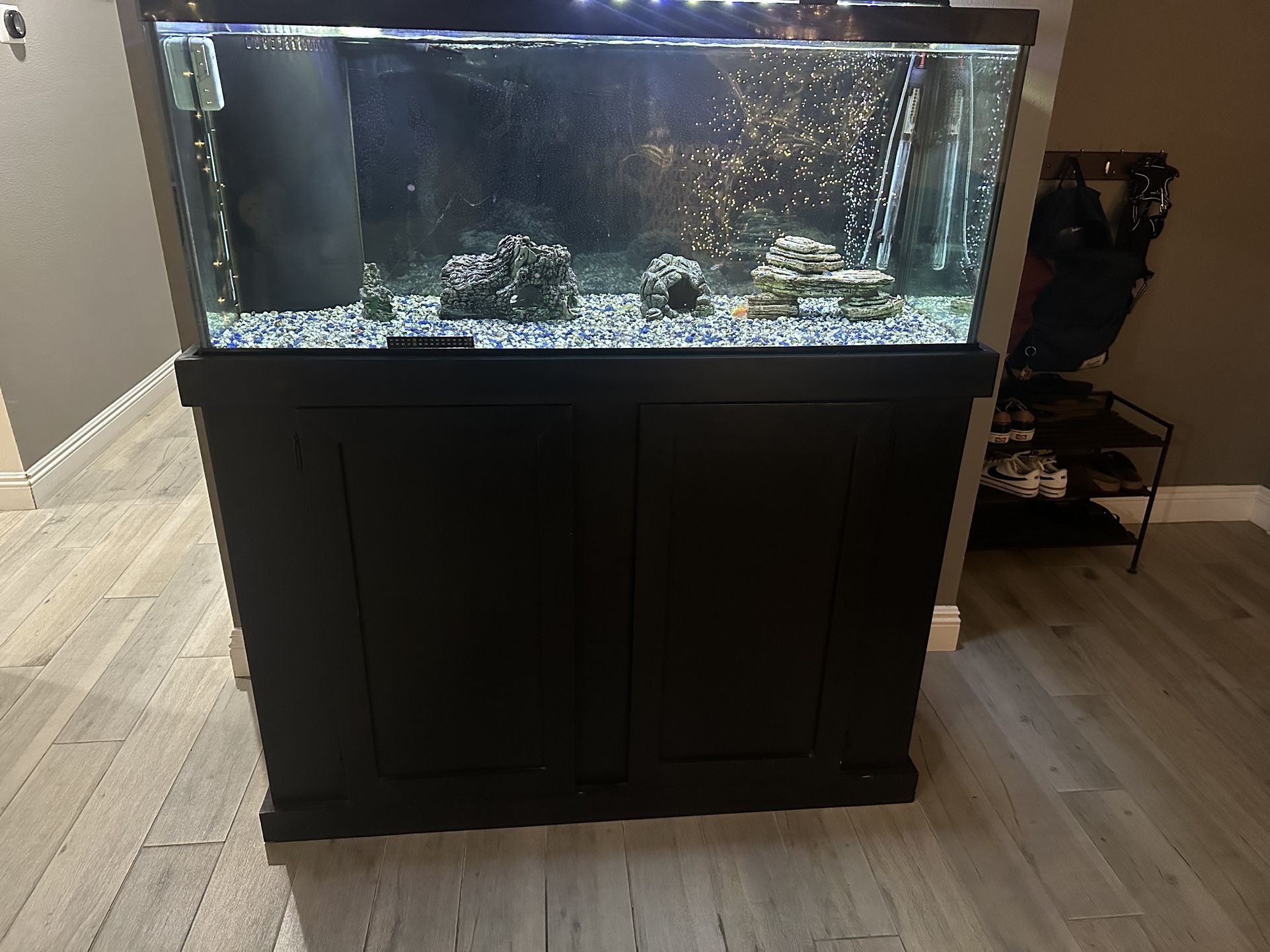 Fish Tank
