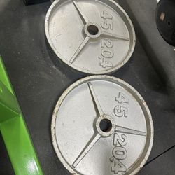 Weights Set of 2 disc 45 pound disc  Olympic size  2 inch hole with a lot of lip and room to do traps  