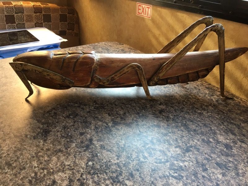 Very unique grasshopper