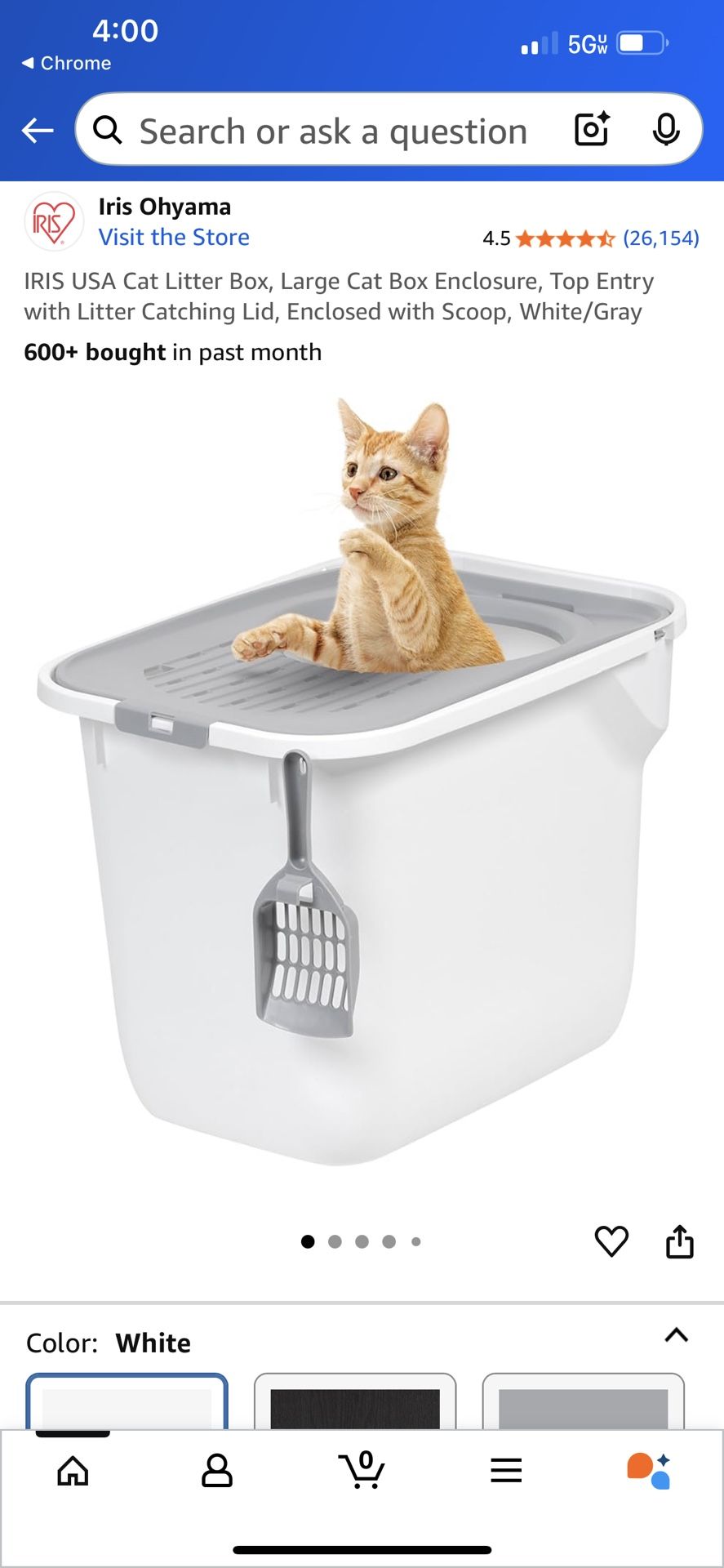 Litter Box