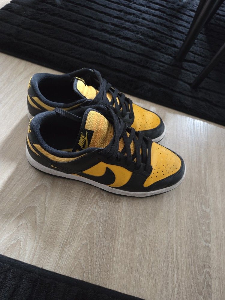 Nike Dunks Men's Size 8