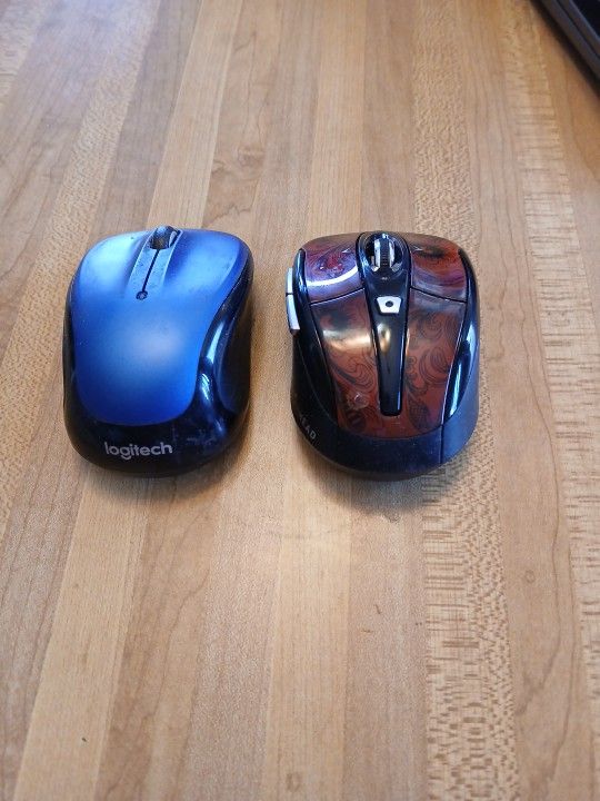 Computer Mouse